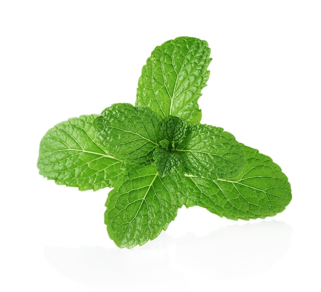 Mint leaves isolated on white background