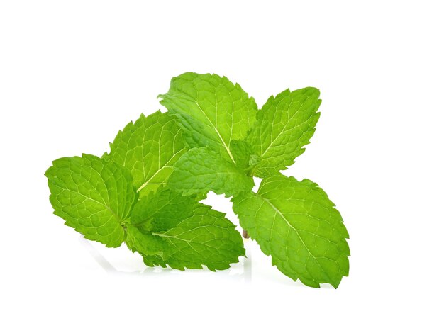 Mint leaves isolated on white background