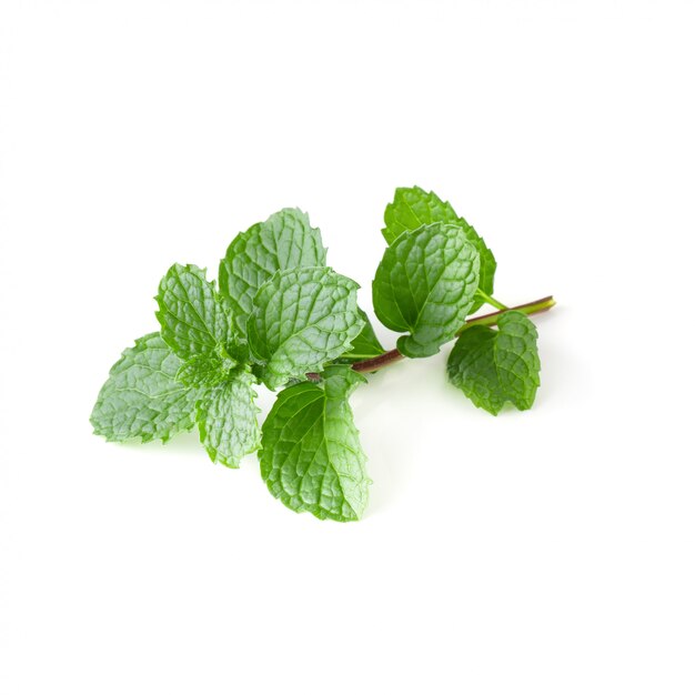 Mint leaves isolated over a white background.