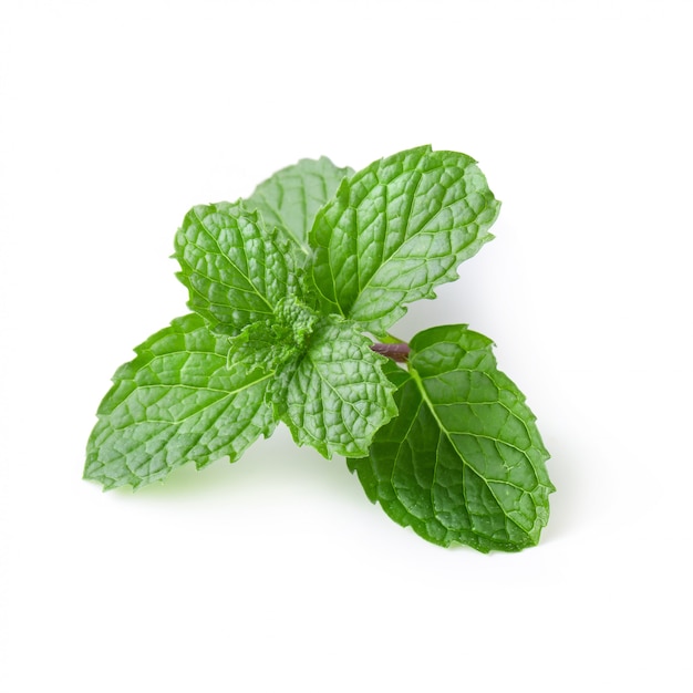 Mint leaves isolated over a white background.