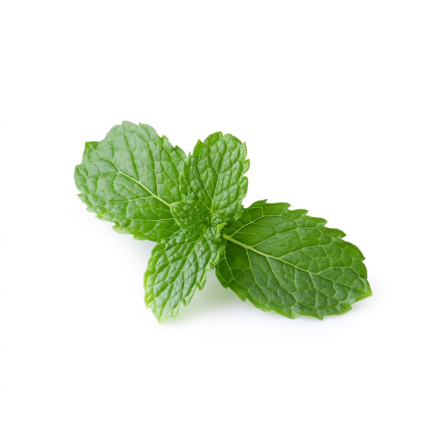 Mint leaves isolated over a white background.