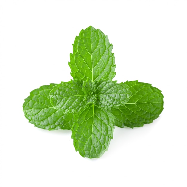 Mint leaves isolated over a white background.