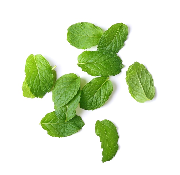 Mint leaves isolated on white background