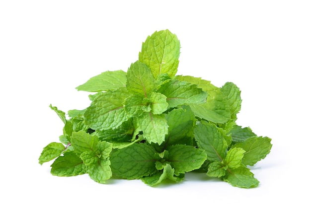 Mint leaves isolated on white background