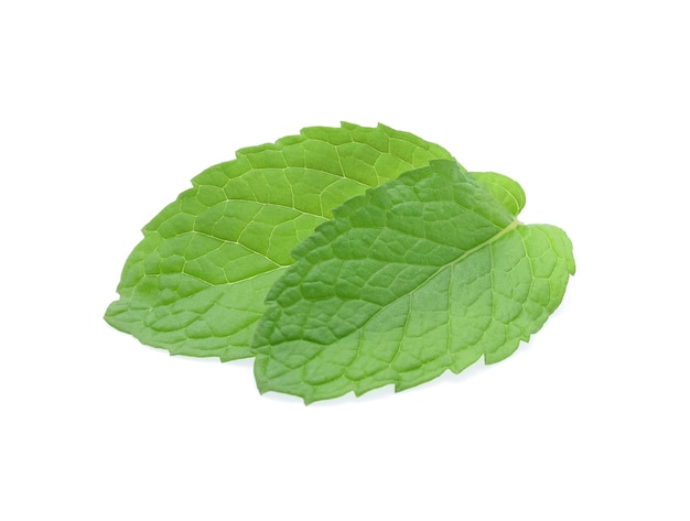 Mint leaves isolated on white.