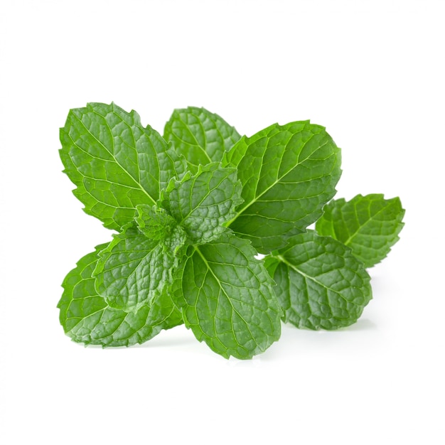 Mint leaves isolated 