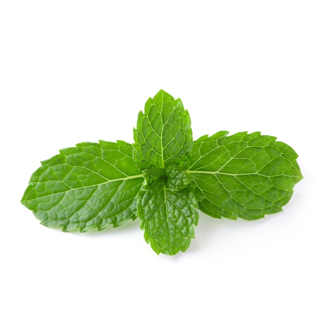 Mint leaves isolated 