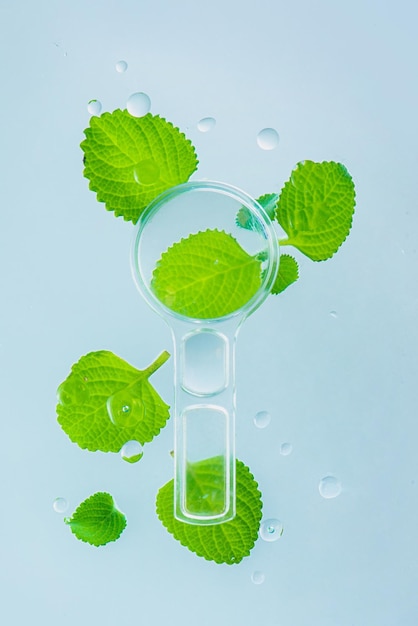 Mint leaves and magnifying glass with water drops beauty\
pharmacy and medicine theme