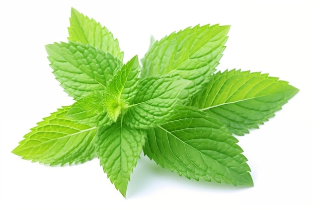 Mint leaves on white background AI