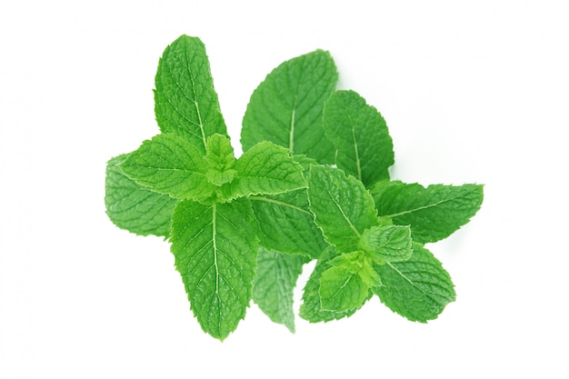 Mint leaves on white 