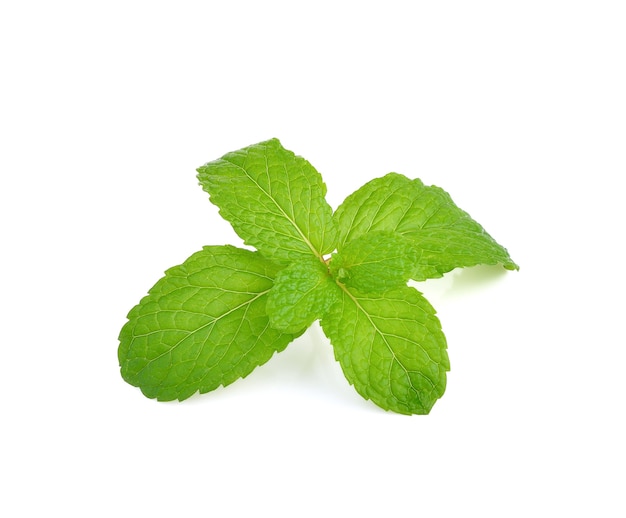 Mint leaves on white