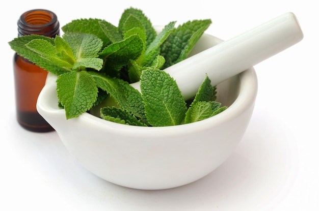 Mint leaves with essential oil in a bottle over white