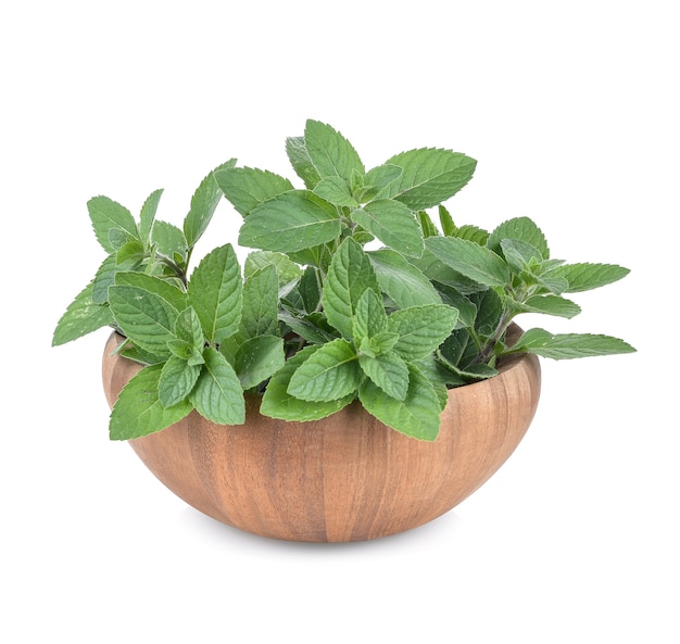 Mint leaves in a wooden cup isolated on white