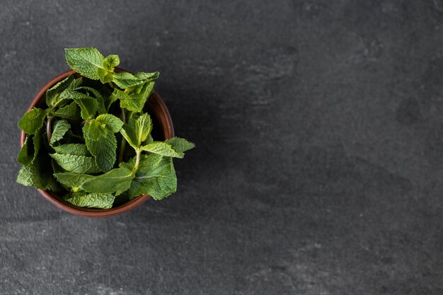 Mint in a plate on a dark table