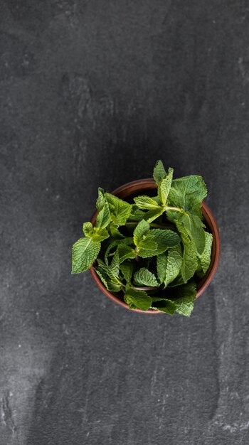 Mint in a plate on a dark table