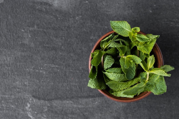 Mint in a plate on a dark table