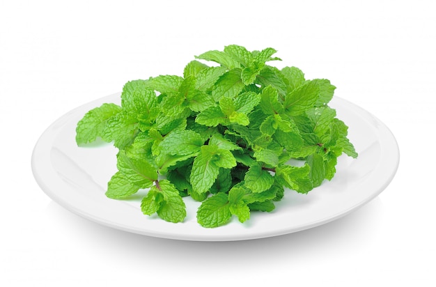 Mint in plate