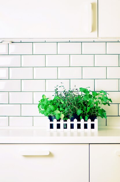 Mint, thyme, basil, parsley - aromatic organic herbs on white kitchen table, brick tile background. Potted culinary spice plants. Minimalistic lifestyle concept.