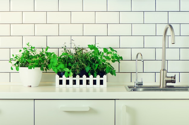 Photo mint, thyme, basil, parsley - aromatic organic herbs on white kitchen table, brick tile background. potted culinary spice plants.