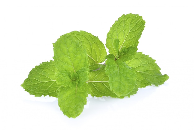 Mint on white background