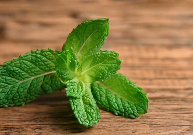 Mint on wooden background