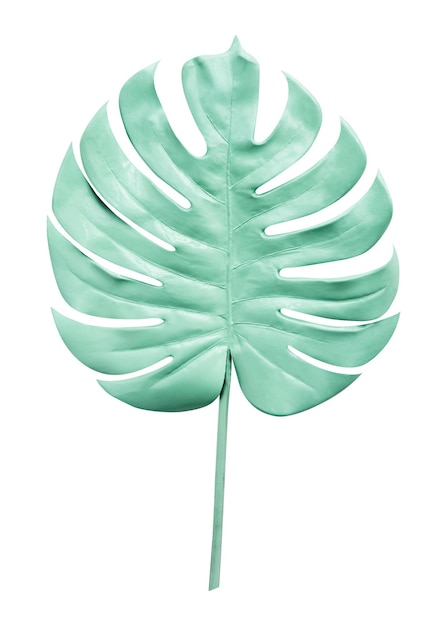 Mintgroene Monstera png sticker botanische doorzichtige achtergrond