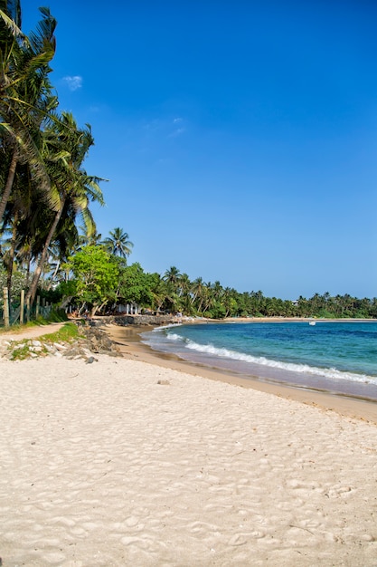 Foto mirissa strand, sri lanka