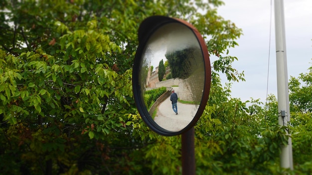 Photo mirror against trees