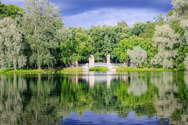 Mirror image in the Park by the water with the bridge