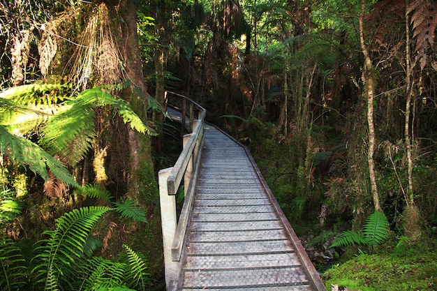 Mirror lake on south island, new zealand