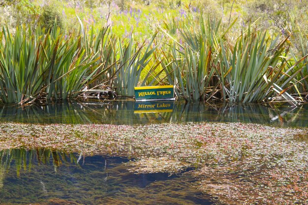 Mirror Lakes is een reeks meren die ten noorden van Lake Te Anau en onmiddellijk naar het westen liggen