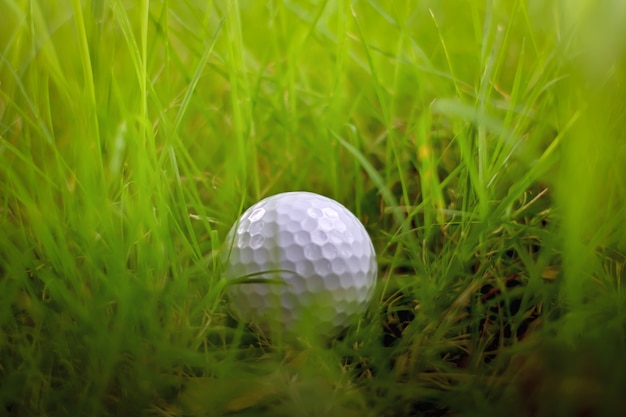 Missing, lost golf ball in green grass rough or hazard out of fairway at golf course