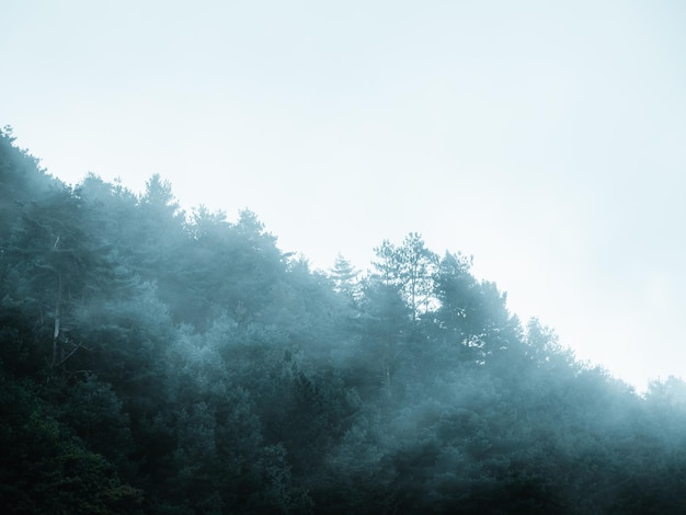 Nebbia che copre la vista delle montagne a strati