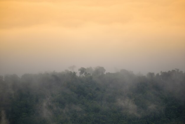 Mist dekking bergen