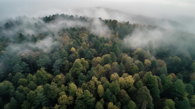 Mist in bos luchtfoto Generatieve AI