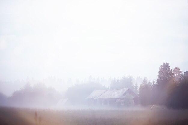 Mist in het veld. Avond natuur in de zomer met witte mist.