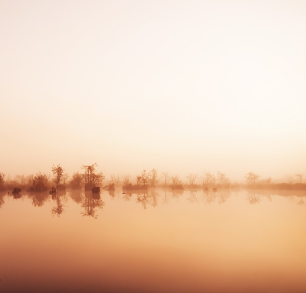 Foto mist in het water