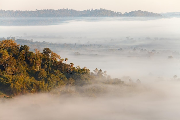 Mist in Khao Takhian Ngo View Point bij Khaokho PhetchabunThailand