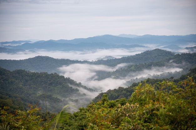 Mist over the mountain in the morning time