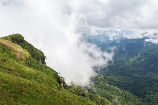 Mist on the Mountain