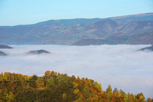 Mist in the mountains in the autumn Colorful trees