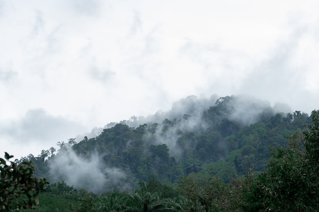 Mist op de berg na zware regen in Thailand.