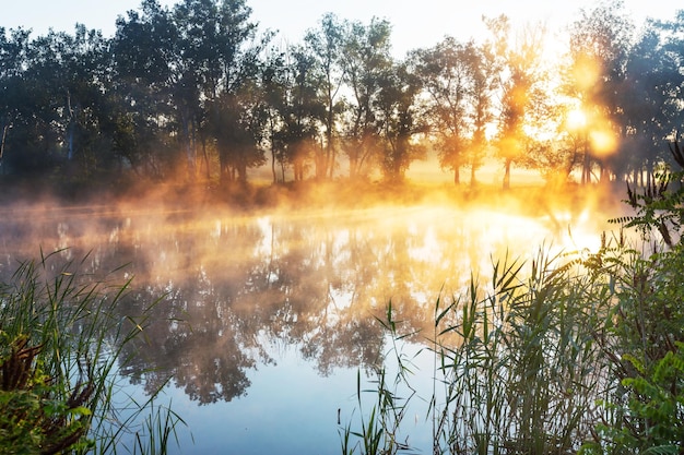 Mist op de rivier