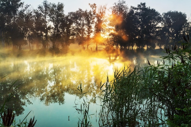 Mist op de rivier