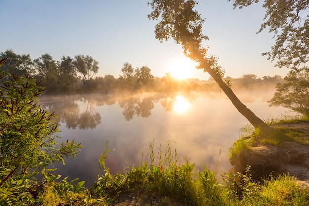 Mist op de rivier