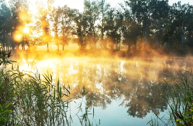 Mist op de rivier