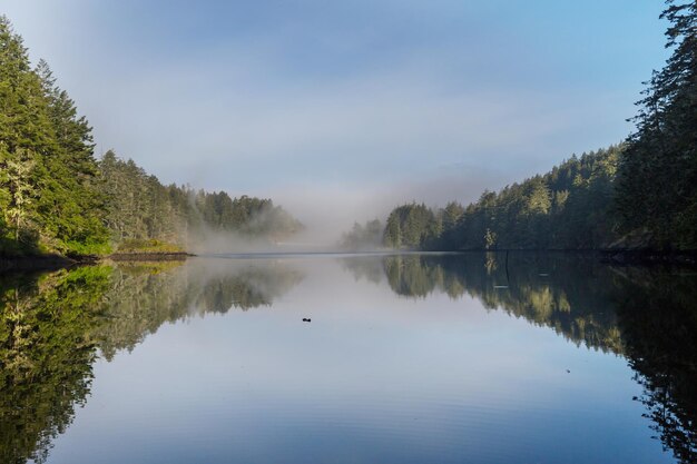 Mist op het meer