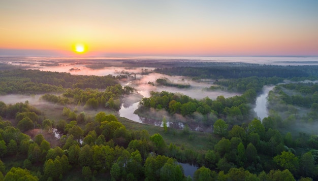 Mist over de West Biarezina-rivier in Naliboki-pushcha Wit-Rusland