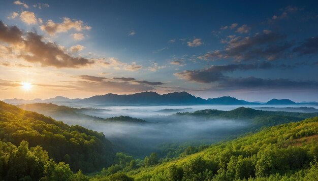 mist over groene bergen