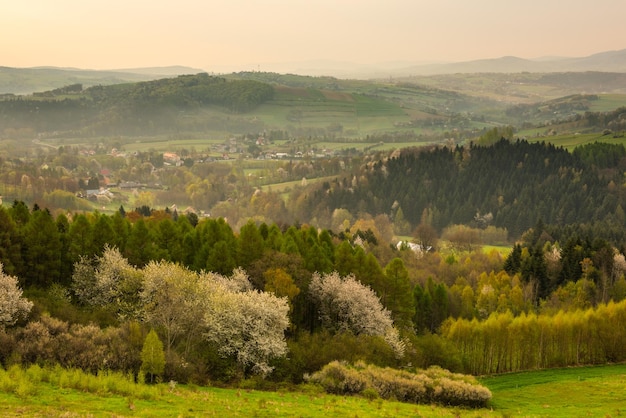 Туман над Rolling Hills на весеннем восходе солнца в польской деревне